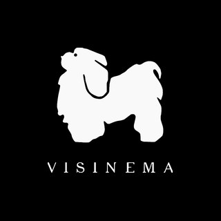 Visinema